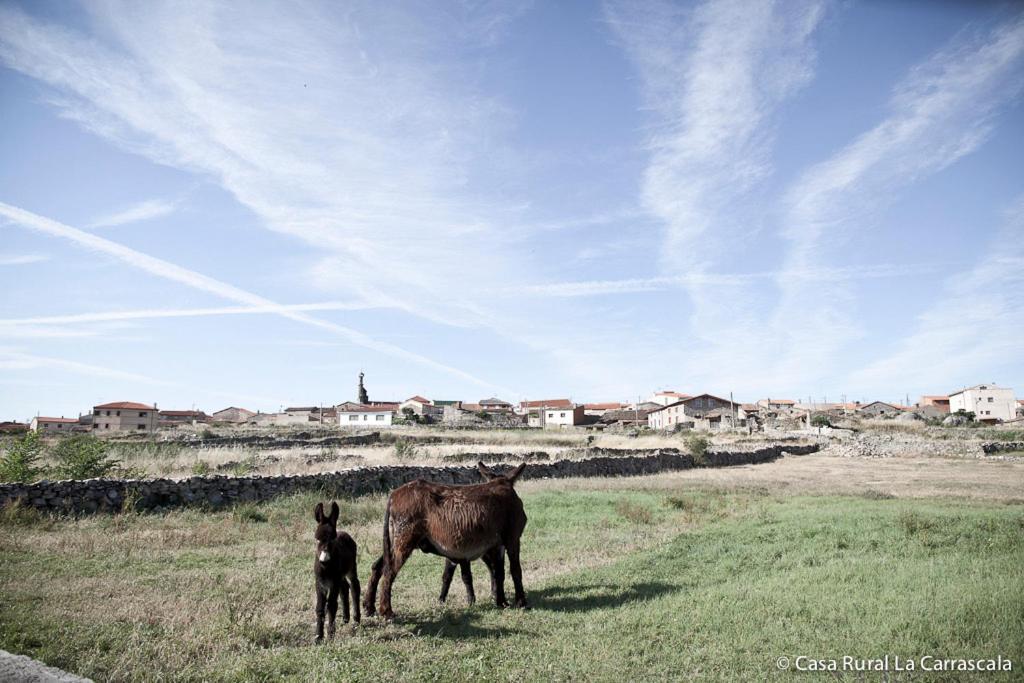 Casa Rural La Carrascala Zamora Exteriér fotografie