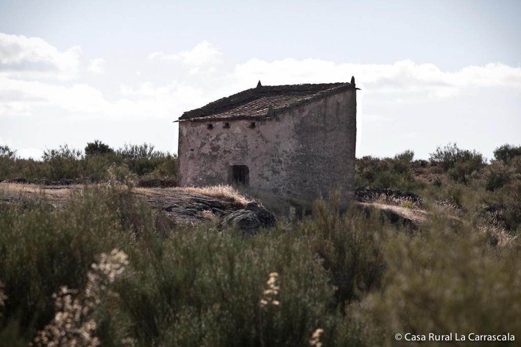 Casa Rural La Carrascala Zamora Exteriér fotografie